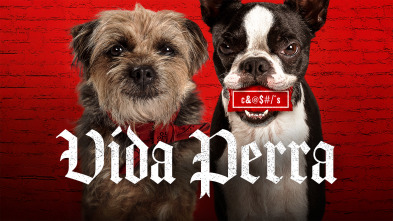 Vida perra
