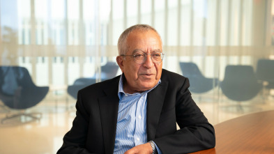 Israel y el mundo árabe 