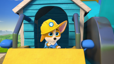 Imagen de ¡Cachorros a la... (T2): Casas gemelas - 1