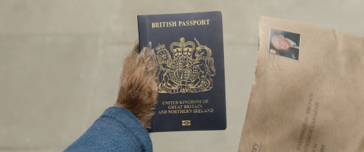 Paddington: Aventura en la selva