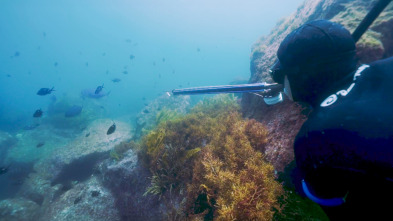 Imagen de Apnea con David... (T1): Nueva Zelanda - 2