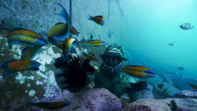 Apnea con David... (T1): Portugal, Azores y Cabo Verde
