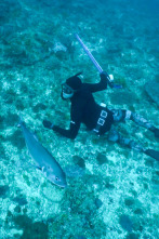 Apnea con David... (T1): Zanzibar, Fiji y Madagascar