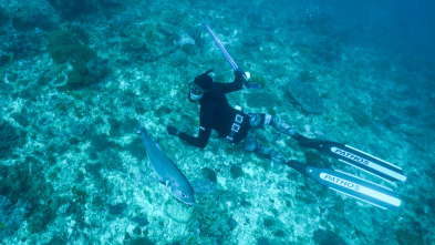 Apnea con David... (T1): Zanzibar, Fiji y Madagascar
