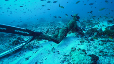 Apnea con David Ochoa (T1): Latham