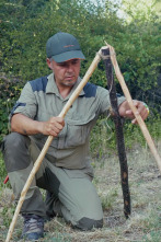 Campamento base (T3): Robert Mata