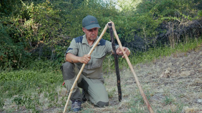 Campamento base (T3): Robert Mata