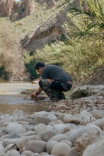 Campamento base (T2): Quico Taronji