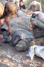 Imagen de De viaje: Operación rhino - 4