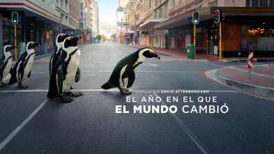 El año en el que el mundo cambió