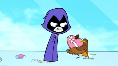 Teen Titans Go! (T1): Aves
