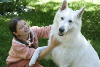 Imagen de Lampo, el perro viajero - 3