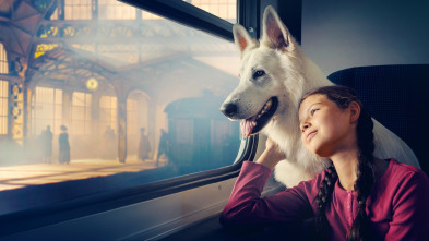 Imagen de Lampo, el perro viajero - 8
