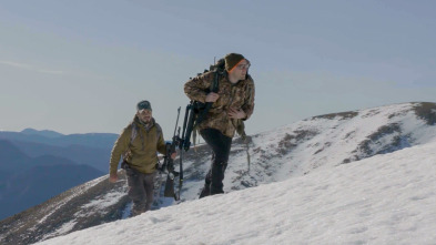 Wild hunting (T2): Chamois Alpes marítimos