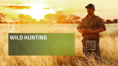 Wild hunting (T3)
