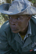 Imagen de Wild hunting (T3): Tiempo de corzos - 1