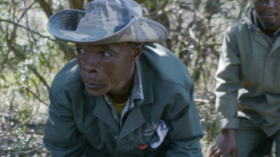Imagen de Wild hunting (T3): Tiempo de corzos - 2
