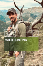 Wild hunting (T4)