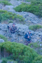 Wild hunting (T4): El Gredos de Marc