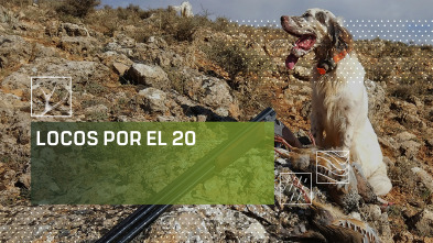 Locos por el 20 (T2)