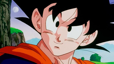 Dragon Ball Z Kai (T1)