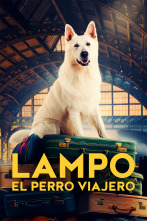 Imagen de Lampo, el perro viajero - 1