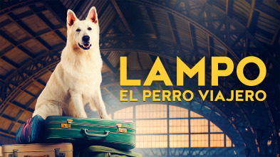 Imagen de Lampo, el perro viajero - 2