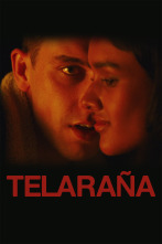 Telaraña