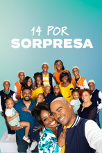 14 por sorpresa (T1)
