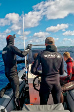 Imagen de Pesca submarina en los...: Ep.5 - 1