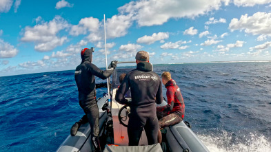 Imagen de Pesca submarina en los...: Ep.5 - 2