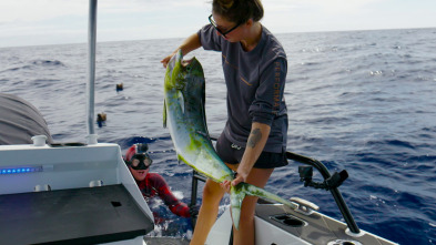 Pesca submarina en los...: Boarfish