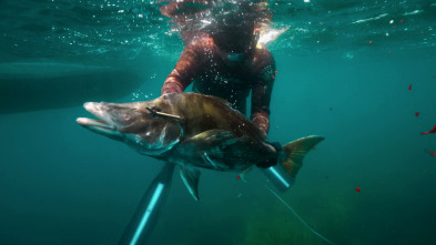Pesca submarina en los...: Far Flung Fiji