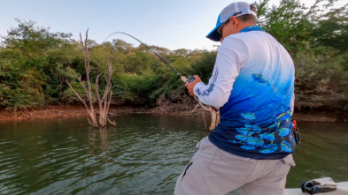 American Fishing (T1): Bass Picachos  México