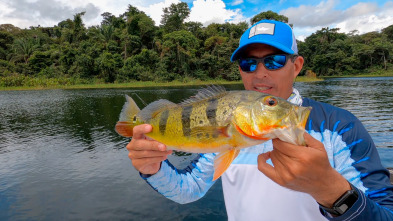 American Fishing (T1): Gatún Panamá