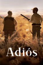 Adiós