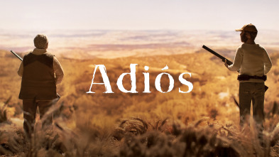 Adiós
