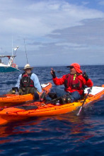 Pesca desde kayak: Ep.8