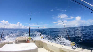 Pesca de altura... (T1): La pesca del pez vela o sail fish