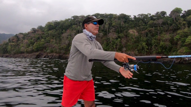 Pesca de altura... (T1): Spining y Baicasting El lanzamiento