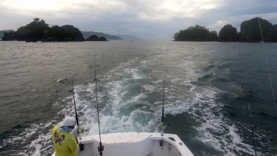 Pesca de altura... (T1): La pesca de marlin y pez vela con mosca