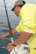 Pesca de altura... (T1): Pesca de fondo Down Riger