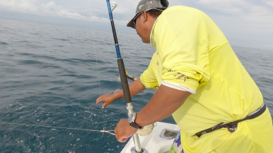 Pesca de altura... (T1): Pesca de fondo Down Riger