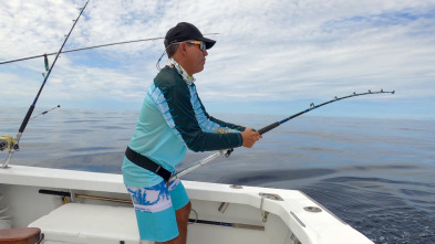 Imagen de Pesca de altura... (T1): La pesca del Marlin - 2