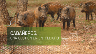 Cabañeros, una gestión en entredicho