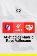 Imagen de Jornada 33: Atlético de Madrid - Rayo - 1
