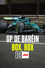 Imagen de Mundial F1 - GP... (2025): Box, Box - 1