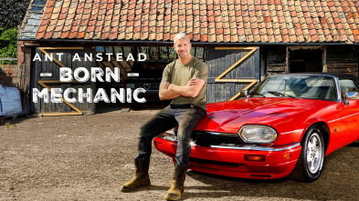 Imagen de Ant Anstead: Born Mechanic (T1) - 2