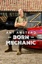 Imagen de Ant Anstead: Born Mechanic (T1) - 1