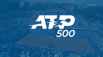 Imagen de ATP 500 - 2